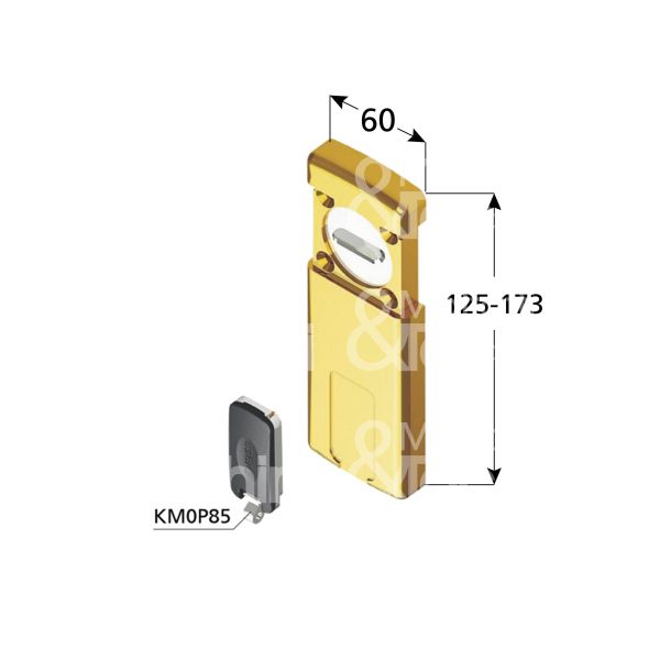 Disec 506300512 protettore magnetico applicare chiave magnetica misura 60 x 115 profondita' mm 17 cromo satinato