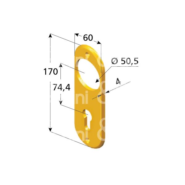 Disec a2021ol placca foro protettore piÙ cilindro ottone lucido interasse 74,4 mm 60 x 170 Ø 50,5