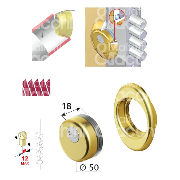 Disec bd271n18ol protettore monolito interasse fori mm 38 misura Ø 54 profondita' mm 18 ottone lucido