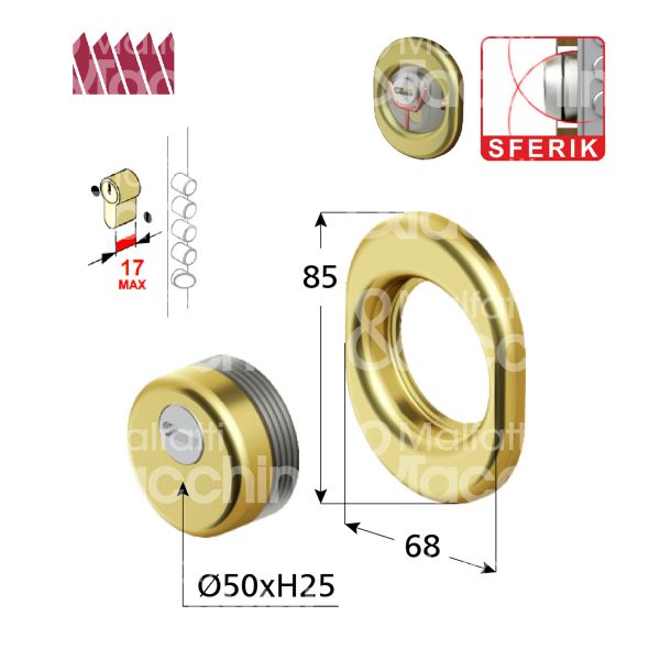 Disec bkd250ol protettore monolito interasse fori mm 38 misura Ø 54 profondita' mm 25 ottone lucido