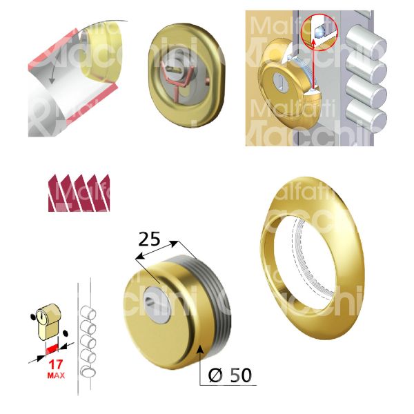 Disec bkd370ol protettore monolito interasse fori mm 31 misura Ø 54 profondita' mm 25 ottone lucido