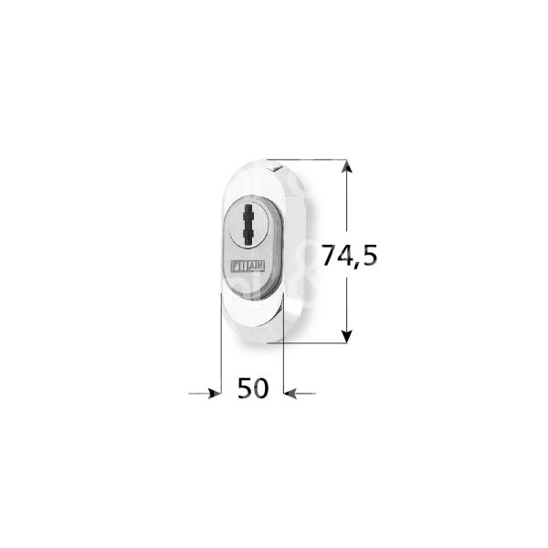 Fiam 98030120 protettore applicare misura 50 x 74,5 ottone lucido