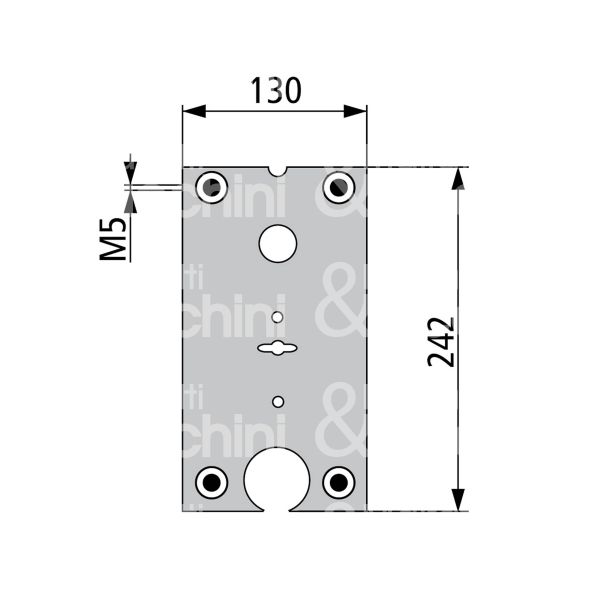 Fiam 99080802 piastra per fiam 800-801-802-808 misura mm 130 x 242 sx