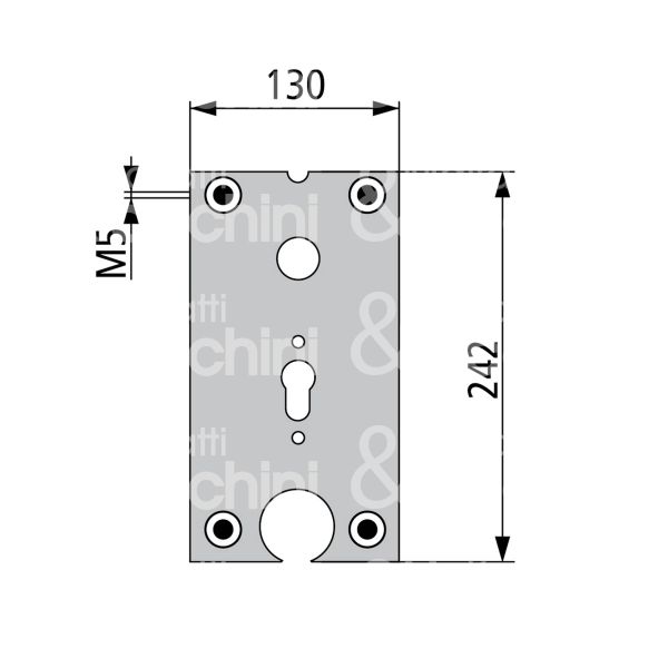 Fiam 99086802 piastra per fiam 868-868p-868pe misura mm 130 x 242 sx