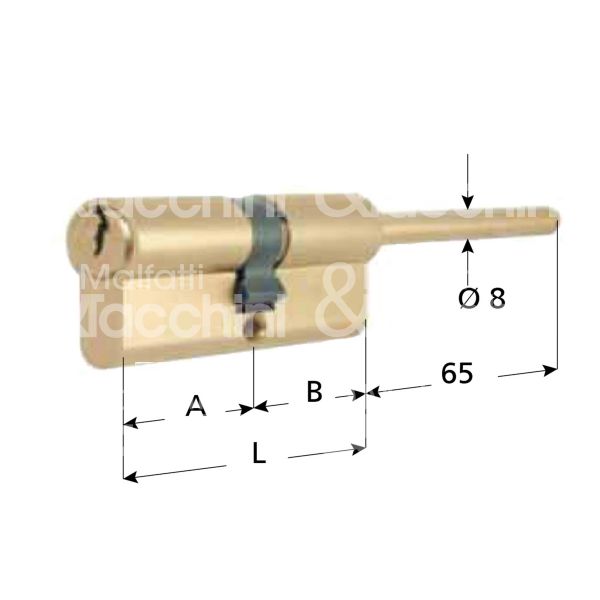 Mg 02564000l cilindro sagomato codolo rasabile 31 x 31 = 62 mm chiave piatta profilo dx cifratura kd ottone satinato