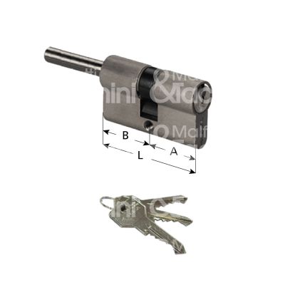 Cisa 0g307070n cilindro sagomato codolo rasabile c2000 30 x 30 = 60 mm chiave piatta profilo dx cifratura kd nichel satinato