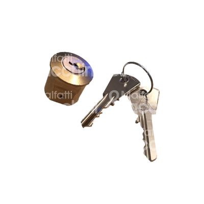 Cortellezzi 346 cilindro per cariglione art. 346 csm ottone ottone mano ambidestro