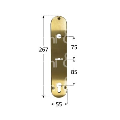 Fiam 98030800 placca foro maniglia con doppia mappa piÙ cilindro ottone satinato interasse 75 - 85 mm 267 x 55